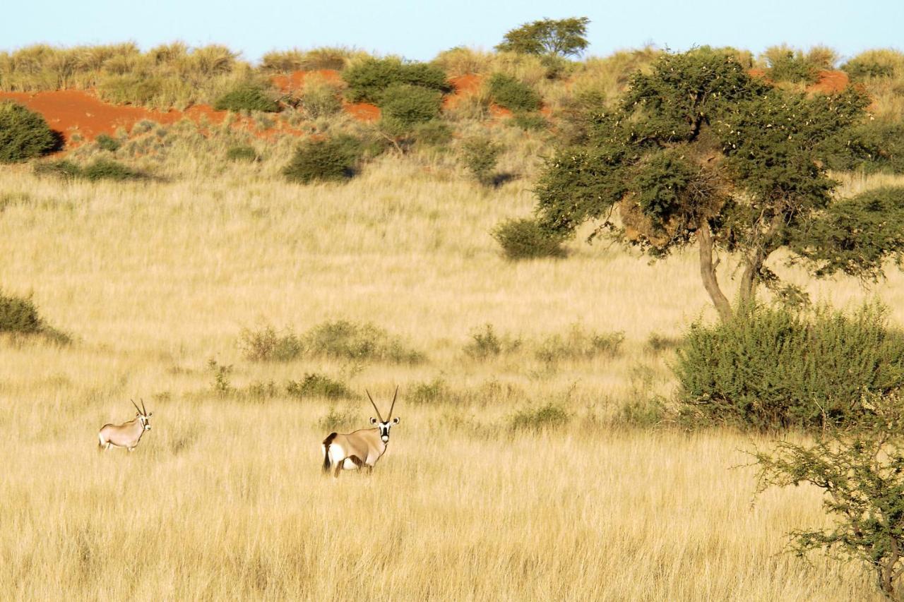 Gondwana Kalahari Anib Lodge Hardap Exterior foto