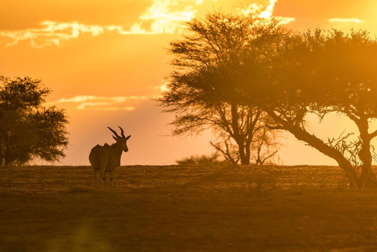 Gondwana Kalahari Anib Lodge Hardap Exterior foto